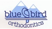Bluebird Orthodontics