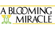 Blooming Miracle