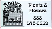 Angie's Plants & Flowers