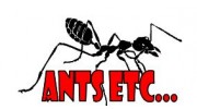 Ants Etc