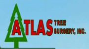 Atlas Tree Surgery