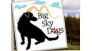 Big Sky Dogs Pet Care Services