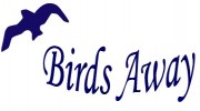 Birds Away-Pigeons Away