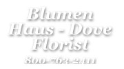 Blumen Haus-Dove Florist