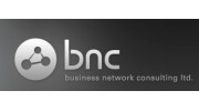 Business Network Consulting