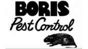 Pest Control Services in Boston, MA