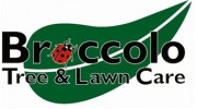 Broccolo Tree & Lawn Care