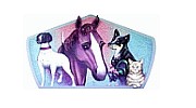 Pet Services & Supplies in Indianapolis, IN