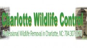 Pest Control Services in Charlotte, NC