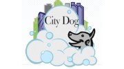City Dog