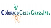 Colorado Green Grass