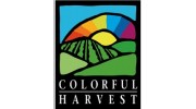 Colorful Harvest