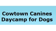 Cowtown Canine Daycamp