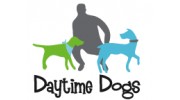 Daytime Dogs