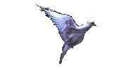 Doves In Flight Decorating