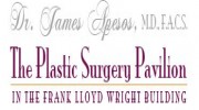 Plastic Surgery Pavilion - James Apesos