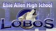 Elsie Allen High School