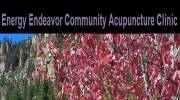 Energy Endeavor Community Acupuncture Clinic