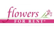 Flowers For Rent