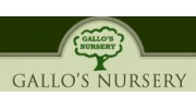 Gallos Nursery
