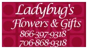 Ladybugs Flowers & Gifts