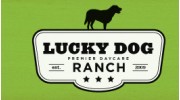 Lucky Dog Daycare Ranch