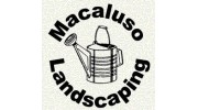 Macaluso Landscape