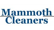 Mammoth Cleaners