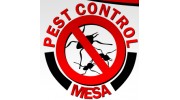 Pest Control Services in Mesa, AZ