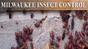 Pest Control Services in Milwaukee, WI