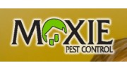 Pest Control Services in Tucson, AZ