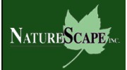 Nature Scape