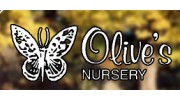 Olive Nursery