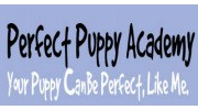 Perfect Puppy Academy