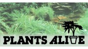 Plants Alive