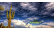 Rio Grande Insurance/Arizona