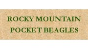 Rocky Mountain Pocket Beagles