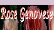 Century 21: Genovese Rose