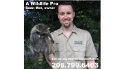 Pest Control Services in Seattle, WA