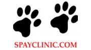 Low Cost Spay Clinic
