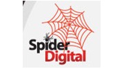 Spider Digital