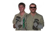 Pest Control Services in Tampa, FL