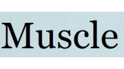 The Muscle Group ~ Shannon Adelman LMT