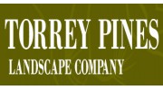 Torrey Pines Landscape