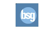BSG Consulting