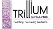 Trillium Consultants