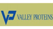 Valley Proteins