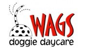 Wags Doggie Daycare