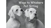 Wags To Whiskers Pet Sitting