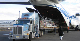 Synergy Cargo Logistics